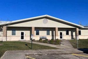 Food Stamp Office Holly Springs Ms | Old Stamp Collecting Guide: Discover, Value & Preserve Vintage Stamps