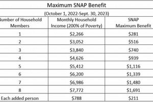TN Food Stamp Income Limits & Guidelines 2024 Old Stamp Collecting Guide: Discover, Value & Preserve Vintage Stamps TN Food Stamp Income Limits & Guidelines 2024 | Old Stamp Collecting Guide: Discover, Value & Preserve Vintage Stamps