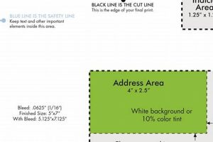 Free 8.5x5.5 Postcard Templates | Download Now Old Stamp Collecting Guide: Discover, Value & Preserve Vintage Stamps Free 8.5x5.5 Postcard Templates | Download Now | Old Stamp Collecting Guide: Discover, Value & Preserve Vintage Stamps