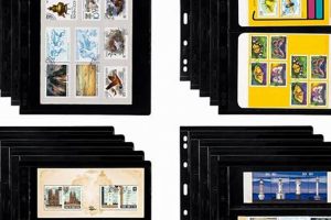 Explore Amazon Stamp Collecting: A Guide Old Stamp Collecting Guide: Discover, Value & Preserve Vintage Stamps Explore Amazon Stamp Collecting: A Guide | Old Stamp Collecting Guide: Discover, Value & Preserve Vintage Stamps