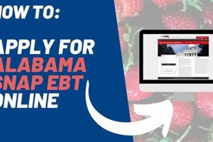 Food Stamp Office In Bessemer Old Stamp Collecting Guide: Discover, Value & Preserve Vintage Stamps Food Stamp Office In Bessemer | Old Stamp Collecting Guide: Discover, Value & Preserve Vintage Stamps