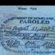 Understanding "Passport Stamp Paroled Until" Status | Old Stamp Collecting Guide: Discover, Value & Preserve Vintage Stamps