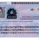 Foreign Passport I-551 Stamp: A Guide | Old Stamp Collecting Guide: Discover, Value & Preserve Vintage Stamps