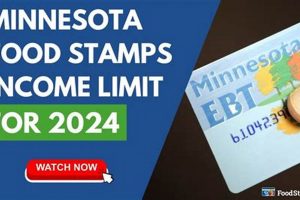 Minnesota Food Stamp Calculator Old Stamp Collecting Guide: Discover, Value & Preserve Vintage Stamps Minnesota Food Stamp Calculator | Old Stamp Collecting Guide: Discover, Value & Preserve Vintage Stamps