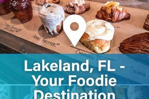Lakeland FL Food Stamp Office: Your Guide & Resources Old Stamp Collecting Guide: Discover, Value & Preserve Vintage Stamps Lakeland FL Food Stamp Office: Your Guide & Resources | Old Stamp Collecting Guide: Discover, Value & Preserve Vintage Stamps