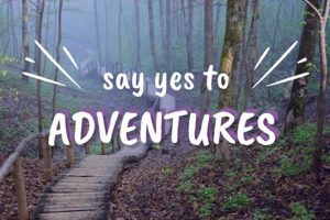 Send Adventure Postcards: Share Your Journey | Old Stamp Collecting Guide: Discover, Value & Preserve Vintage Stamps