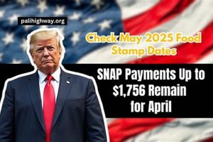 Your Food Stamp Date: A Comprehensive Guide Old Stamp Collecting Guide: Discover, Value & Preserve Vintage Stamps Your Food Stamp Date: A Comprehensive Guide | Old Stamp Collecting Guide: Discover, Value & Preserve Vintage Stamps
