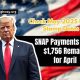 Your Food Stamp Date: A Comprehensive Guide | Old Stamp Collecting Guide: Discover, Value & Preserve Vintage Stamps