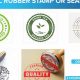 E-Signatures & Digital Rubber Stamps: A Guide | Old Stamp Collecting Guide: Discover, Value & Preserve Vintage Stamps