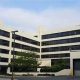 Food Stamp Office Jersey City Nj | Old Stamp Collecting Guide: Discover, Value & Preserve Vintage Stamps