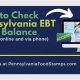 Pa Food Stamp Balance Number | Old Stamp Collecting Guide: Discover, Value & Preserve Vintage Stamps