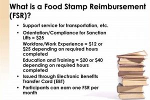 SNAP Food Stamp Reimbursement Guide Old Stamp Collecting Guide: Discover, Value & Preserve Vintage Stamps SNAP Food Stamp Reimbursement Guide | Old Stamp Collecting Guide: Discover, Value & Preserve Vintage Stamps
