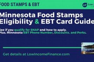 Minnesota Ebt Food Stamp Program Old Stamp Collecting Guide: Discover, Value & Preserve Vintage Stamps Minnesota Ebt Food Stamp Program | Old Stamp Collecting Guide: Discover, Value & Preserve Vintage Stamps