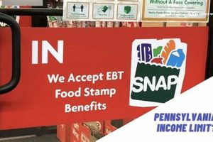 PA Food Stamp Requirements: A 2024 Guide Old Stamp Collecting Guide: Discover, Value & Preserve Vintage Stamps PA Food Stamp Requirements: A 2024 Guide | Old Stamp Collecting Guide: Discover, Value & Preserve Vintage Stamps