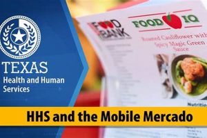 Food Stamp Office Odessa Tx Old Stamp Collecting Guide: Discover, Value & Preserve Vintage Stamps Food Stamp Office Odessa Tx | Old Stamp Collecting Guide: Discover, Value & Preserve Vintage Stamps