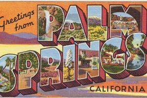 Vintage Palm Springs Postcards: A Desert Oasis Old Stamp Collecting Guide: Discover, Value & Preserve Vintage Stamps Vintage Palm Springs Postcards: A Desert Oasis | Old Stamp Collecting Guide: Discover, Value & Preserve Vintage Stamps