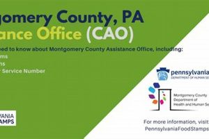Find Montgomery County Food Stamp Office Locations Old Stamp Collecting Guide: Discover, Value & Preserve Vintage Stamps Find Montgomery County Food Stamp Office Locations | Old Stamp Collecting Guide: Discover, Value & Preserve Vintage Stamps
