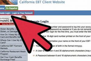 Check CA Food Stamp Balance Online & by Phone Old Stamp Collecting Guide: Discover, Value & Preserve Vintage Stamps Check CA Food Stamp Balance Online & by Phone | Old Stamp Collecting Guide: Discover, Value & Preserve Vintage Stamps