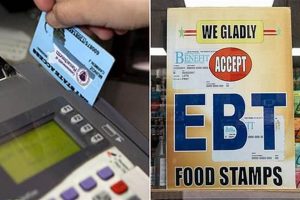 NJ SNAP Benefits: Your Guide to Food Stamps Old Stamp Collecting Guide: Discover, Value & Preserve Vintage Stamps NJ SNAP Benefits: Your Guide to Food Stamps | Old Stamp Collecting Guide: Discover, Value & Preserve Vintage Stamps