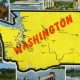 Postcard Washington | Old Stamp Collecting Guide: Discover, Value & Preserve Vintage Stamps