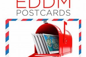 Local EDDM Postcard Printing & Mailing Services Old Stamp Collecting Guide: Discover, Value & Preserve Vintage Stamps Local EDDM Postcard Printing & Mailing Services | Old Stamp Collecting Guide: Discover, Value & Preserve Vintage Stamps