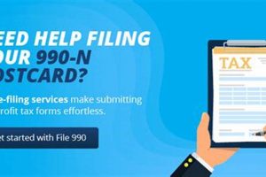 Guide to 990-N Postcard Filing for Nonprofits | Old Stamp Collecting Guide: Discover, Value & Preserve Vintage Stamps