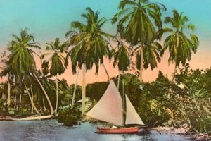 Vivid Haiti Postcards: Memories & More | Old Stamp Collecting Guide: Discover, Value & Preserve Vintage Stamps