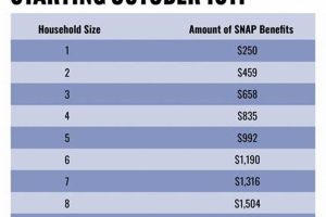 SNAP Benefits Increase: October 2024 Updates Old Stamp Collecting Guide: Discover, Value & Preserve Vintage Stamps SNAP Benefits Increase: October 2024 Updates | Old Stamp Collecting Guide: Discover, Value & Preserve Vintage Stamps