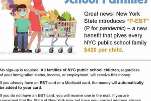 Find Goodwill Food Stamp Classes Near You Old Stamp Collecting Guide: Discover, Value & Preserve Vintage Stamps Find Goodwill Food Stamp Classes Near You | Old Stamp Collecting Guide: Discover, Value & Preserve Vintage Stamps