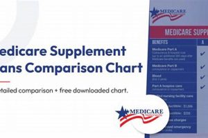 Medicare Supplement Comparison Schedule Postcard Old Stamp Collecting Guide: Discover, Value & Preserve Vintage Stamps Medicare Supplement Comparison Schedule Postcard | Old Stamp Collecting Guide: Discover, Value & Preserve Vintage Stamps