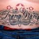 Name Tramp Stamp: A History & Guide | Old Stamp Collecting Guide: Discover, Value & Preserve Vintage Stamps
