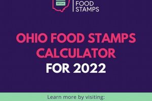 Ohio Food Stamp Number: Guide & Info Old Stamp Collecting Guide: Discover, Value & Preserve Vintage Stamps Ohio Food Stamp Number: Guide & Info | Old Stamp Collecting Guide: Discover, Value & Preserve Vintage Stamps