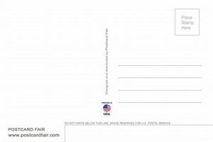 The Art of Postcard United: A Creative Journey Old Stamp Collecting Guide: Discover, Value & Preserve Vintage Stamps The Art of Postcard United: A Creative Journey | Old Stamp Collecting Guide: Discover, Value & Preserve Vintage Stamps