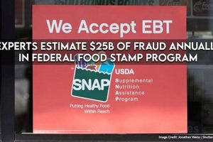 Combating Food Stamp Fraud in Tennessee Old Stamp Collecting Guide: Discover, Value & Preserve Vintage Stamps Combating Food Stamp Fraud in Tennessee | Old Stamp Collecting Guide: Discover, Value & Preserve Vintage Stamps