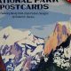 Vintage National Parks Postcard Collections | Old Stamp Collecting Guide: Discover, Value & Preserve Vintage Stamps