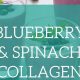 Find Food Stamp Offices in Galveston, TX | Old Stamp Collecting Guide: Discover, Value & Preserve Vintage Stamps