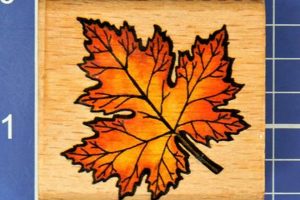 Beautiful Leaf Rubber Stamps & Imprints Old Stamp Collecting Guide: Discover, Value & Preserve Vintage Stamps Beautiful Leaf Rubber Stamps & Imprints | Old Stamp Collecting Guide: Discover, Value & Preserve Vintage Stamps