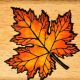 Beautiful Leaf Rubber Stamps & Imprints | Old Stamp Collecting Guide: Discover, Value & Preserve Vintage Stamps