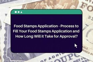 Navigating Food Stamp Delay: Tips & Resources Old Stamp Collecting Guide: Discover, Value & Preserve Vintage Stamps Navigating Food Stamp Delay: Tips & Resources | Old Stamp Collecting Guide: Discover, Value & Preserve Vintage Stamps