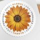 Global Postage Stamp Guide: Costs & Tips | Old Stamp Collecting Guide: Discover, Value & Preserve Vintage Stamps