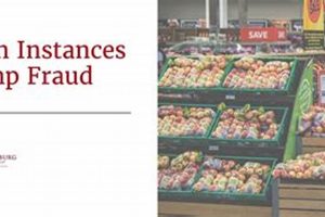 Stopping Food Stamp Fraud: A Comprehensive Guide Old Stamp Collecting Guide: Discover, Value & Preserve Vintage Stamps Stopping Food Stamp Fraud: A Comprehensive Guide | Old Stamp Collecting Guide: Discover, Value & Preserve Vintage Stamps