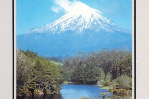 Classic New Zealand Postcard Scenes Old Stamp Collecting Guide: Discover, Value & Preserve Vintage Stamps Classic New Zealand Postcard Scenes | Old Stamp Collecting Guide: Discover, Value & Preserve Vintage Stamps