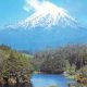 Classic New Zealand Postcard Scenes | Old Stamp Collecting Guide: Discover, Value & Preserve Vintage Stamps