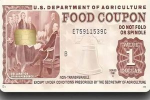 Secure Your Benefits: EBT Card Covers & Protectors Old Stamp Collecting Guide: Discover, Value & Preserve Vintage Stamps Secure Your Benefits: EBT Card Covers & Protectors | Old Stamp Collecting Guide: Discover, Value & Preserve Vintage Stamps