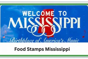 MS Food Stamp Program Guide & Eligibility Old Stamp Collecting Guide: Discover, Value & Preserve Vintage Stamps MS Food Stamp Program Guide & Eligibility | Old Stamp Collecting Guide: Discover, Value & Preserve Vintage Stamps