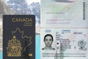 Passport Stamp: Driving to Canada? Get the Facts Old Stamp Collecting Guide: Discover, Value & Preserve Vintage Stamps Passport Stamp: Driving to Canada? Get the Facts | Old Stamp Collecting Guide: Discover, Value & Preserve Vintage Stamps