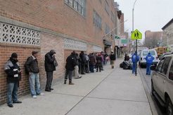 Brooklyn Food Stamp Guide: Access & Benefits Old Stamp Collecting Guide: Discover, Value & Preserve Vintage Stamps Brooklyn Food Stamp Guide: Access & Benefits | Old Stamp Collecting Guide: Discover, Value & Preserve Vintage Stamps