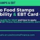Idaho Food Stamp Card Balance | Old Stamp Collecting Guide: Discover, Value & Preserve Vintage Stamps