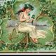 Collecting Vintage Ireland Postcards: A Guide | Old Stamp Collecting Guide: Discover, Value & Preserve Vintage Stamps