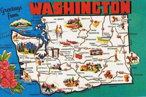 Vintage Washington State Postcard Collection Old Stamp Collecting Guide: Discover, Value & Preserve Vintage Stamps Vintage Washington State Postcard Collection | Old Stamp Collecting Guide: Discover, Value & Preserve Vintage Stamps